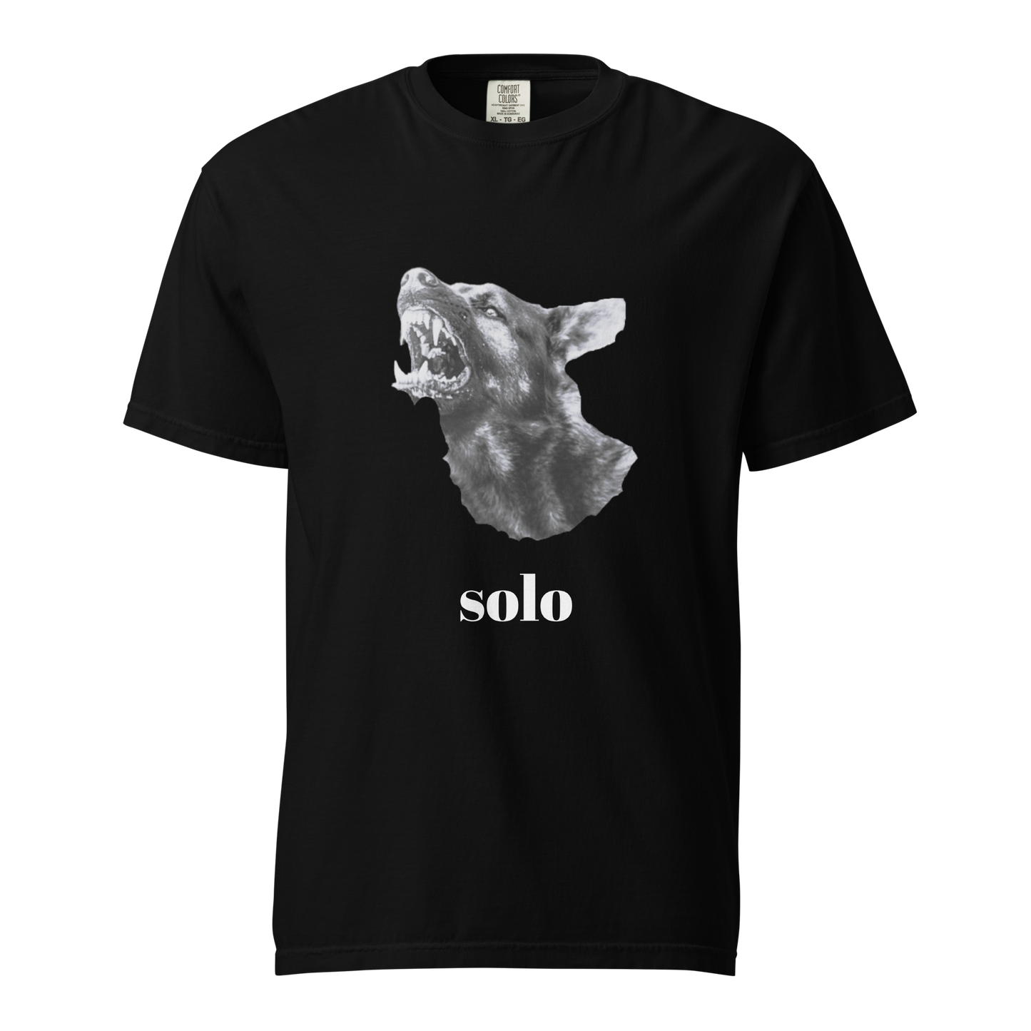 SSF Unisex dyed heavyweight t-shirt