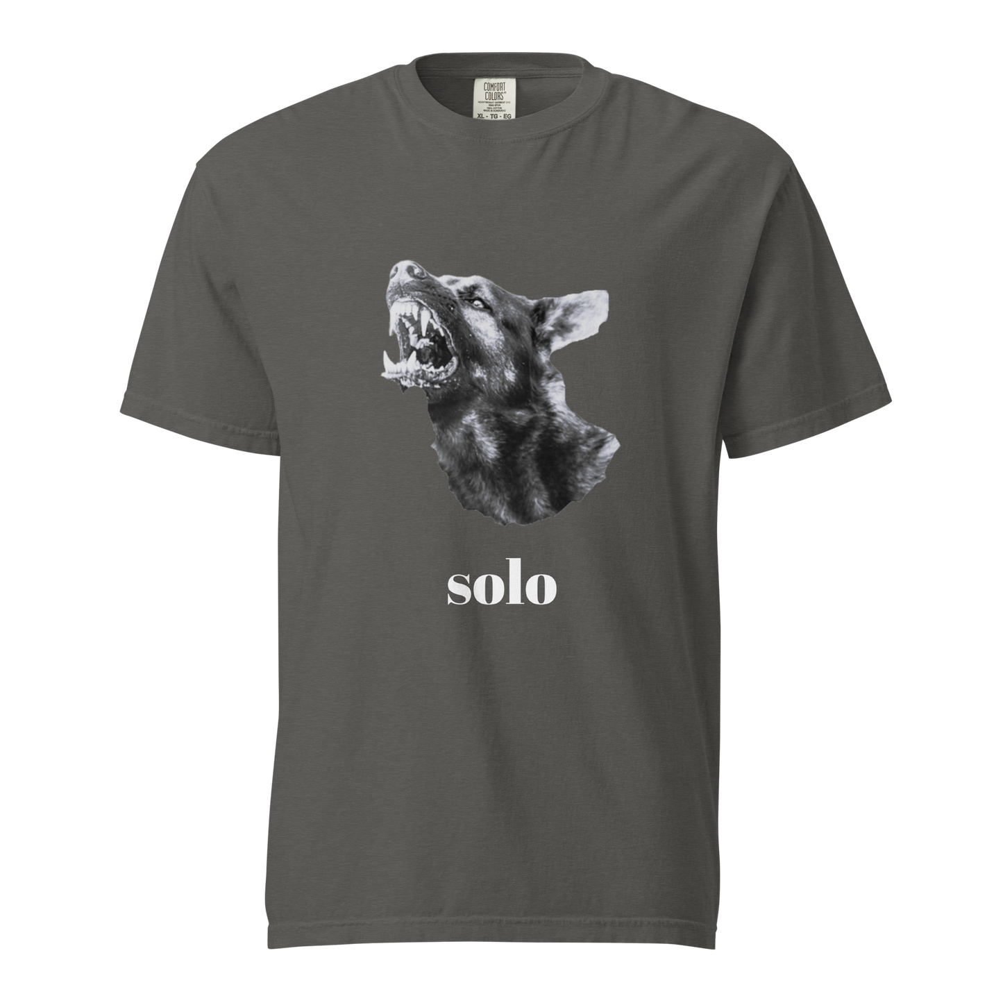 SSF Unisex dyed heavyweight t-shirt